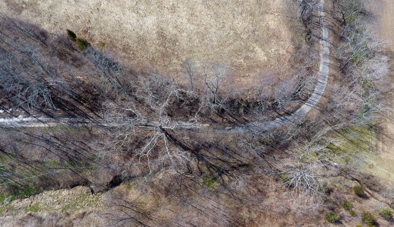 Aerial view looking straight down on old paved road winding its way through wooded area.